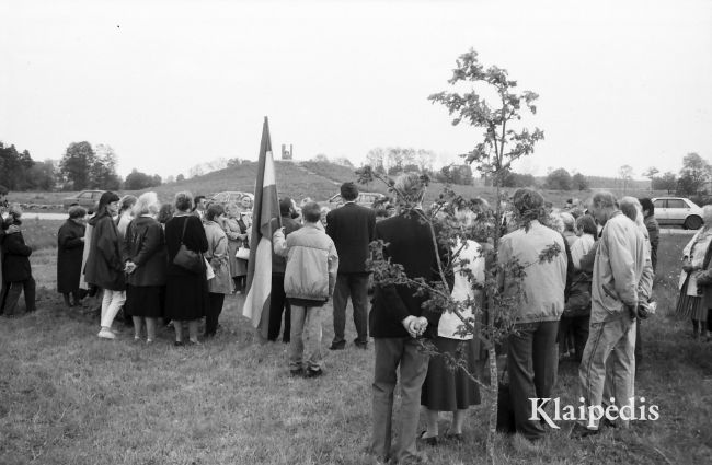 pavadinimas: Agluonėnuose prie Lietuvininkų ąžuolyno, raktai:  