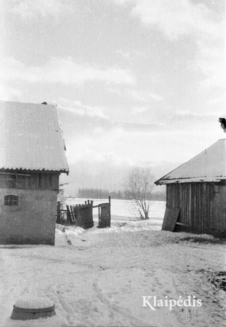pavadinimas: Pempininkų kaimo sodyba 1952 žiemą, raktai: Pempininkai