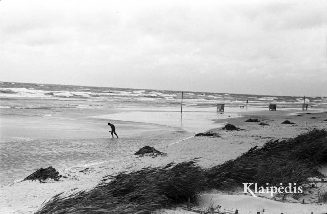 pavadinimas:  Audra Melnragės paplūdimyje 1970, raktai:  