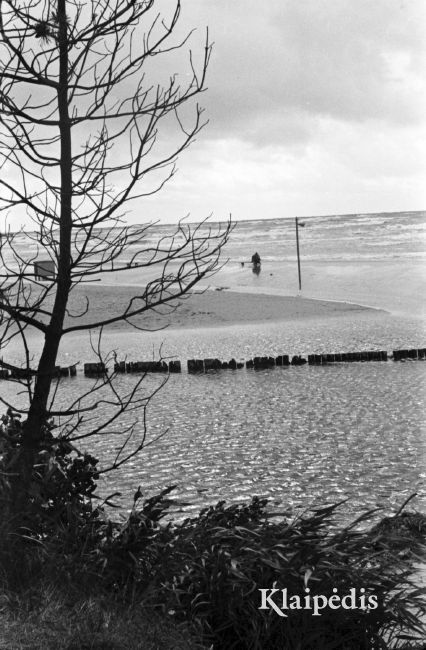 pavadinimas: Po audros Melnragės paplūdimyje 1970, raktai:  