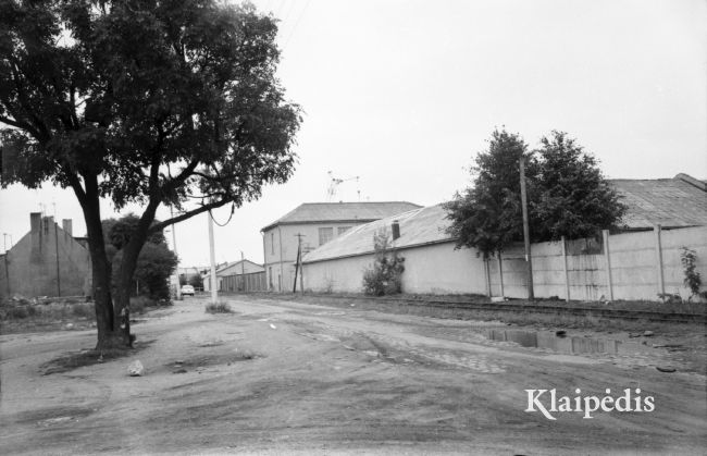 pavadinimas: Nemuno (buv. Malūnų) g. 1982, raktai:  