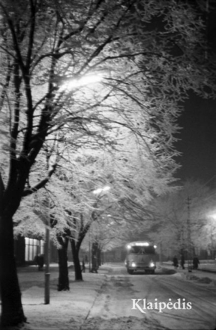 pavadinimas: 1967 žiema Klaipėdoje. Dangės g., raktai:  