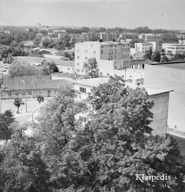 pavadinimas:  Alaus d-kla ir, už Bangų g., - tabako f-kas, raktai: Tabako fabrikas