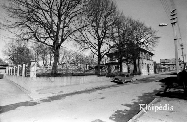 pavadinimas: 1929 m. Vitėje buvo 321 namas, 3610 gyventojų..., raktai:  