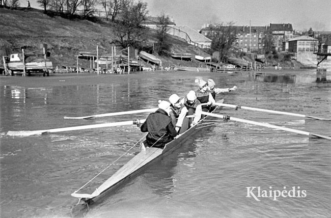 pavadinimas: „Žalgirio