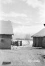 pavadinimas: Pempininkų kaimo sodyba 1952 žiemą, raktai: Pempininkai