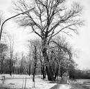 pavadinimas: Miesto parkas (buv. senosios kapinės), raktai:  
